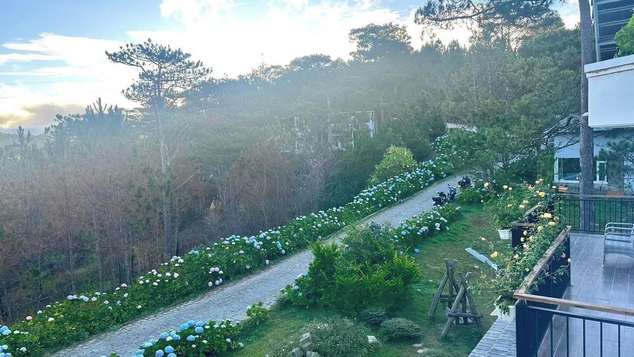 Photo of Others in Da Lat