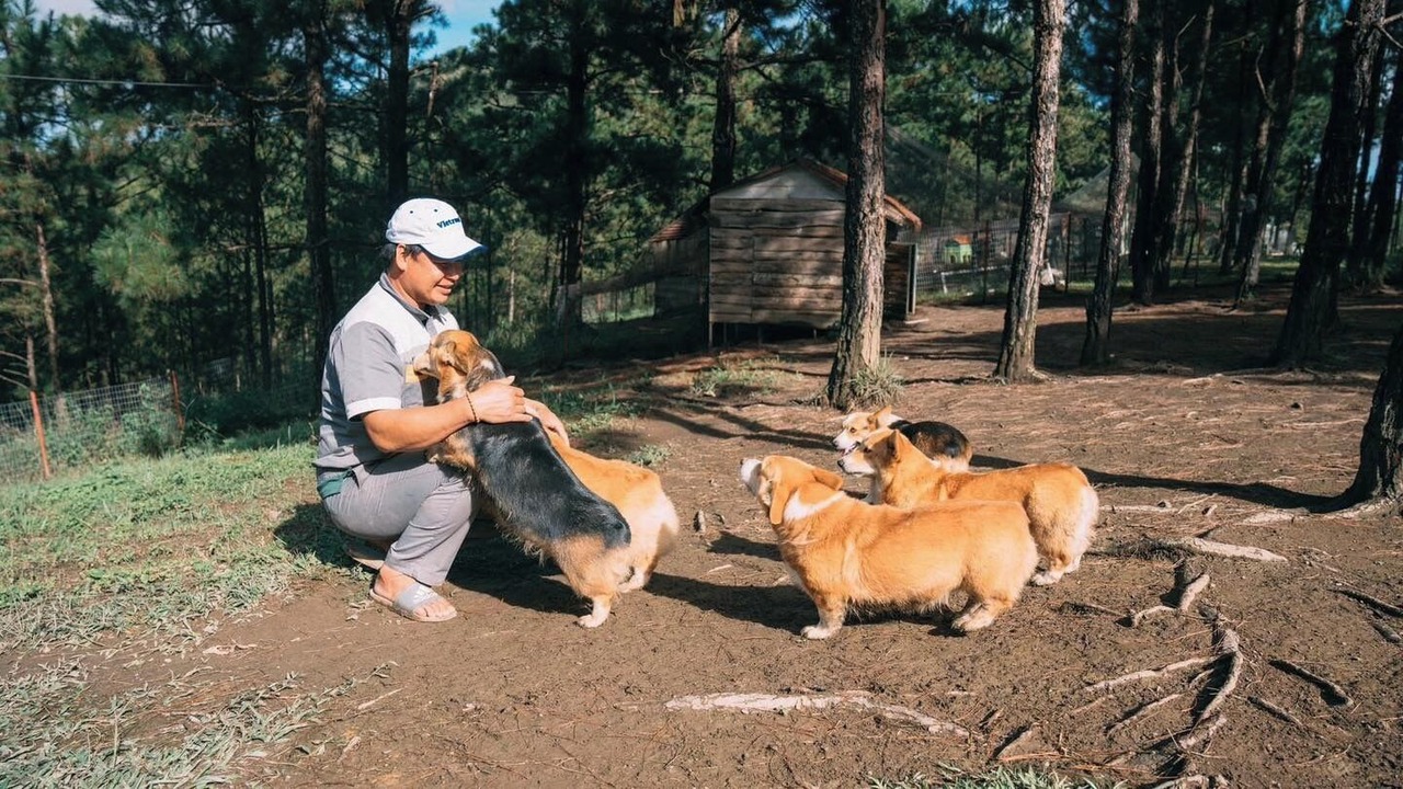 Photo of Others in Da Lat