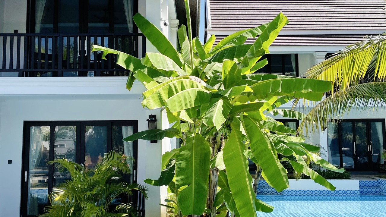 Photo of Outdoor in Luang Prabang
