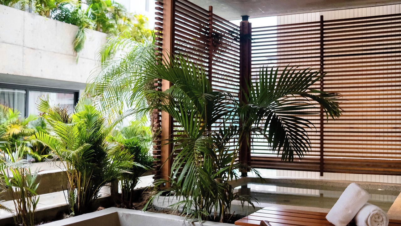 Photo of Patio Balcony in An Hai Đong