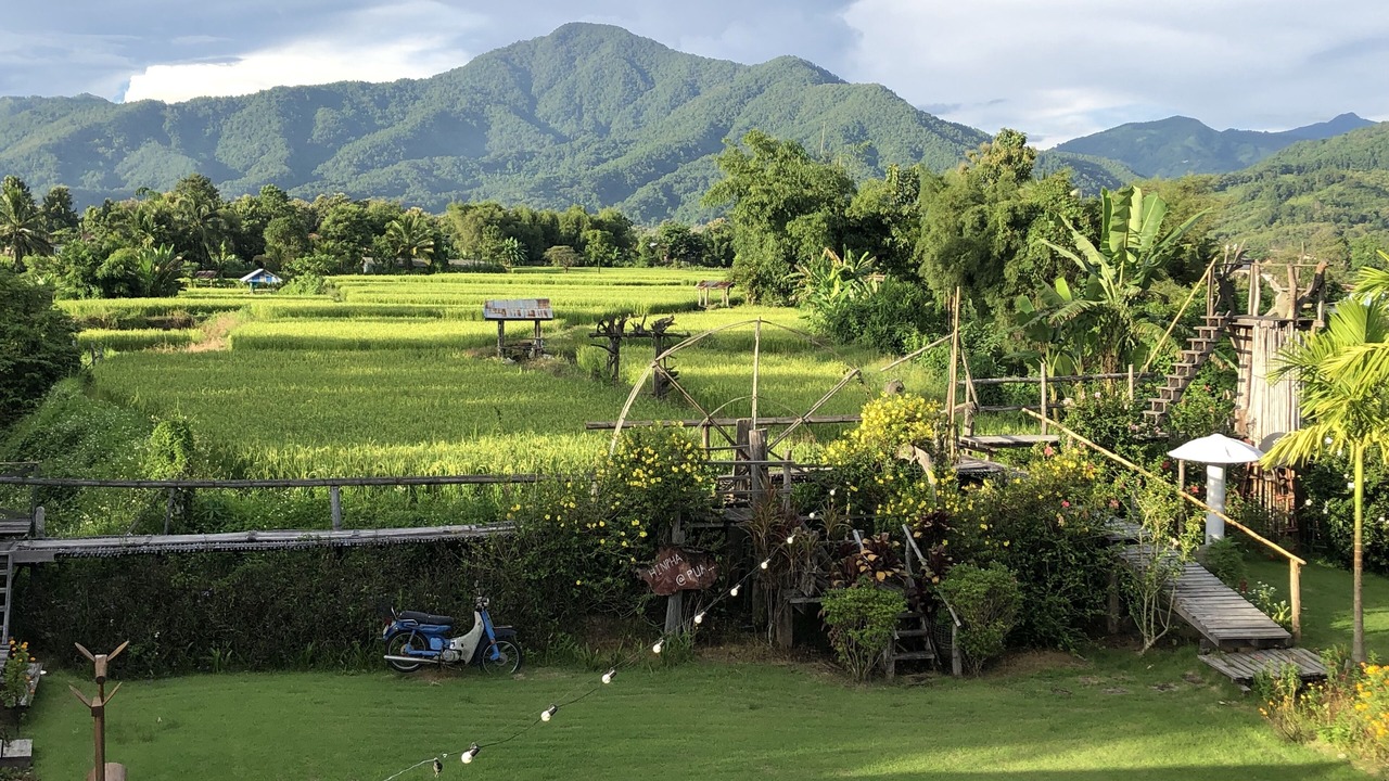 Photo of Outdoor in Pua