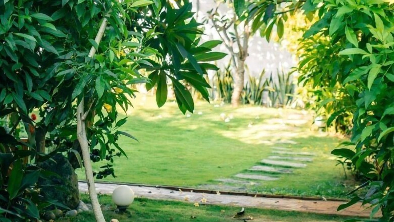 Photo of Outdoor in Central Mui Ne Beach