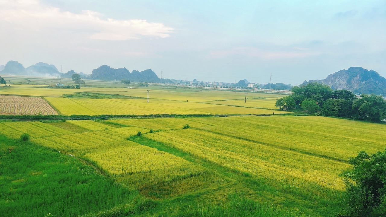 Photo of Bedroom in Ninh Binh