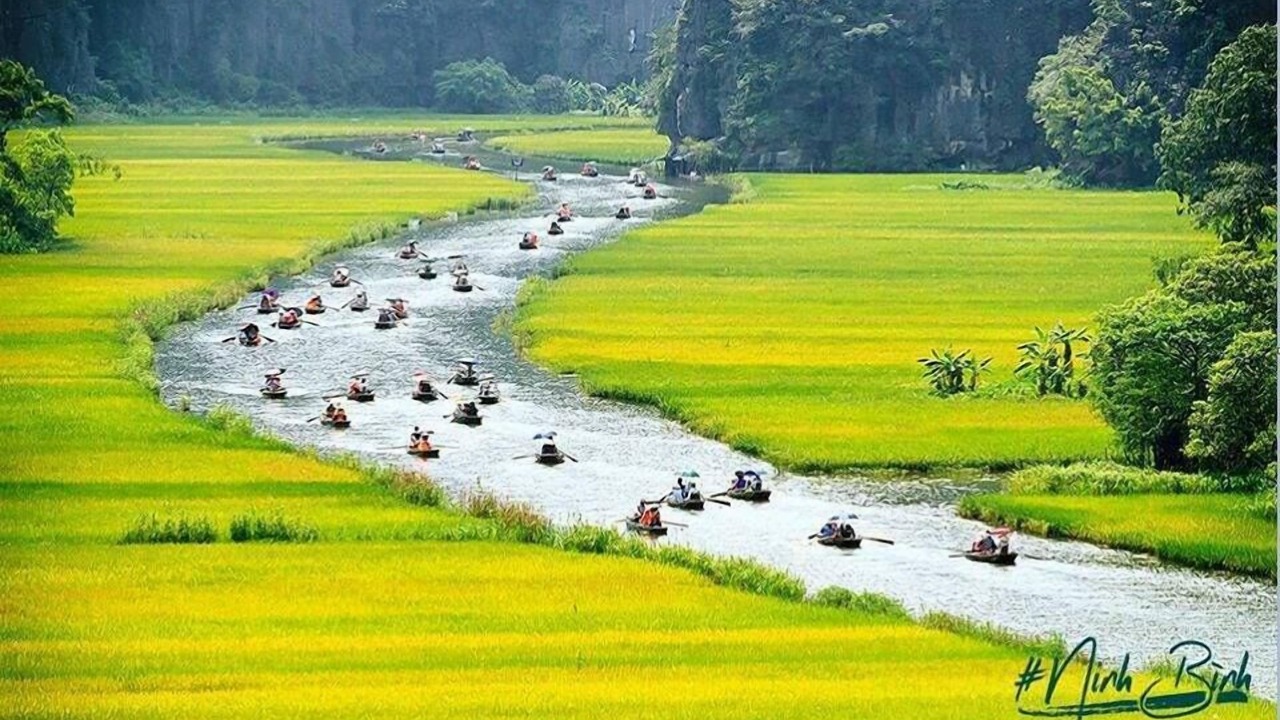 Photo of Others in Ninh Binh