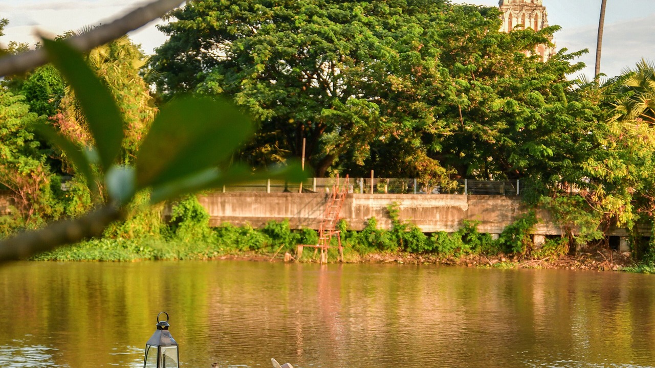 Photo of Others in Chiang Mai