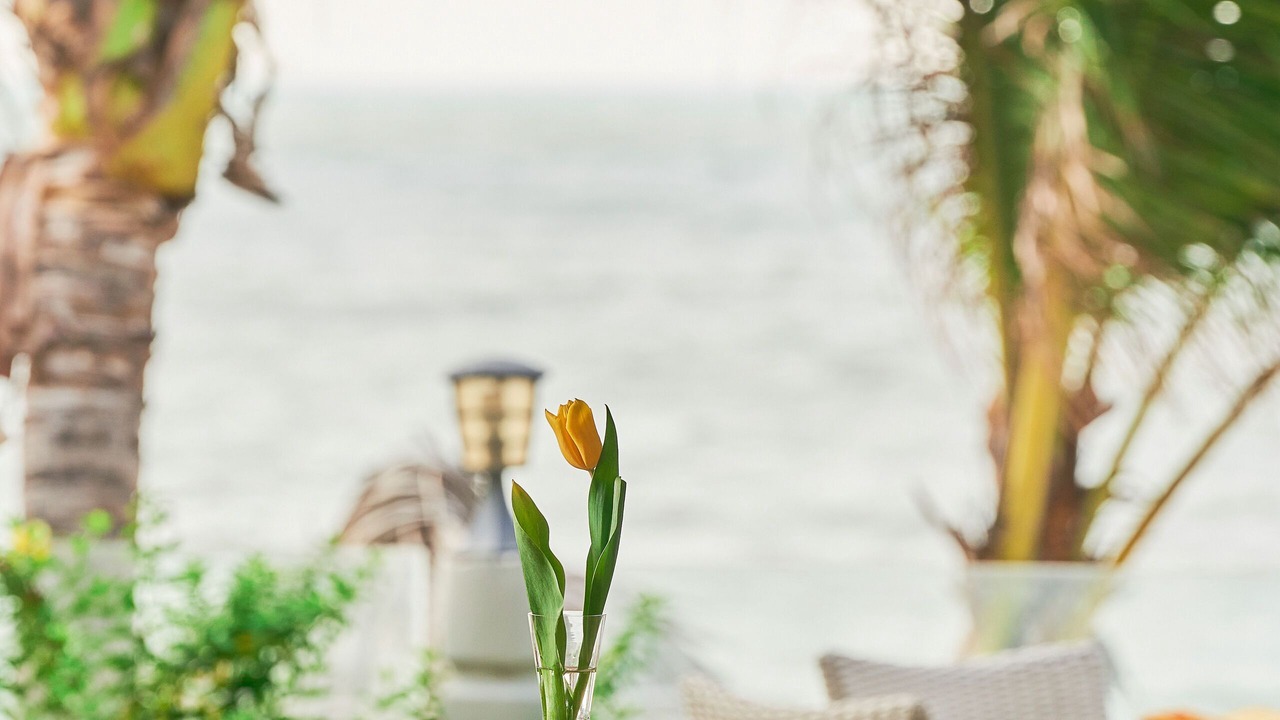 Photo of Others in Long Hai