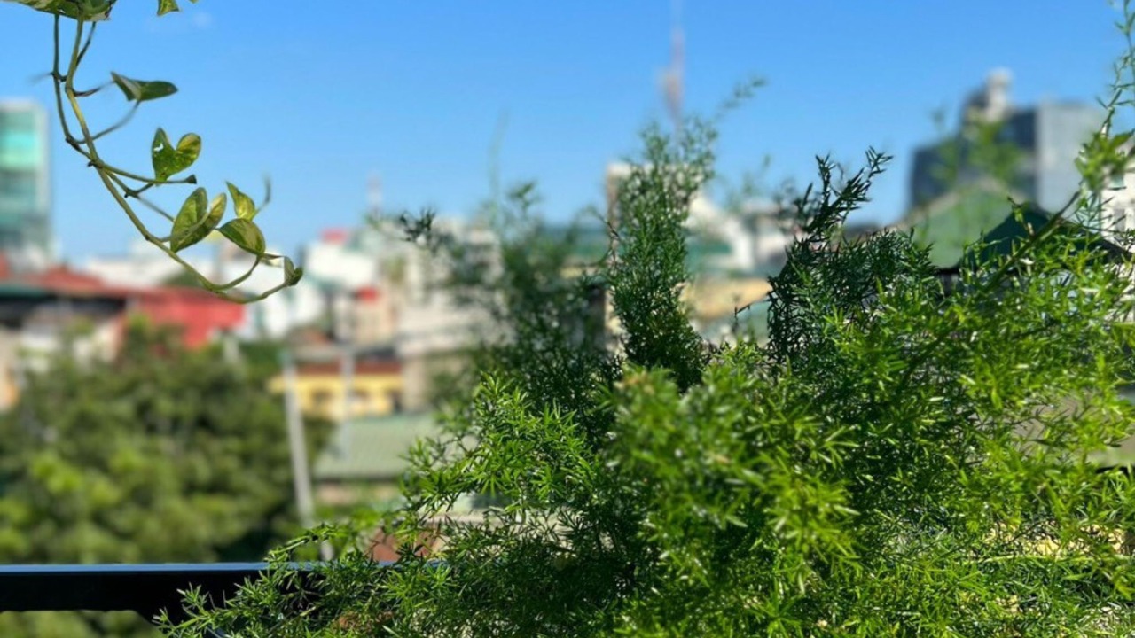 Photo of Outdoor in Van Mieu