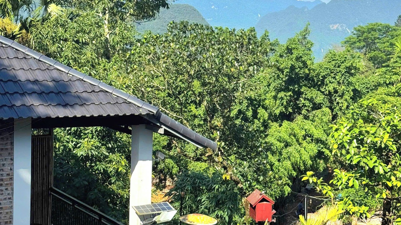 Photo of Outdoor in Pu Long Nature Reserve