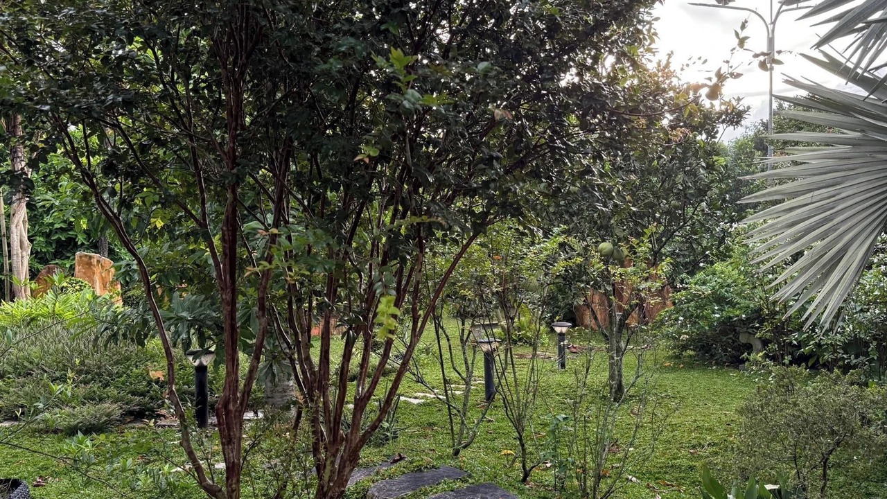 Photo of Outdoor in Cu Chi