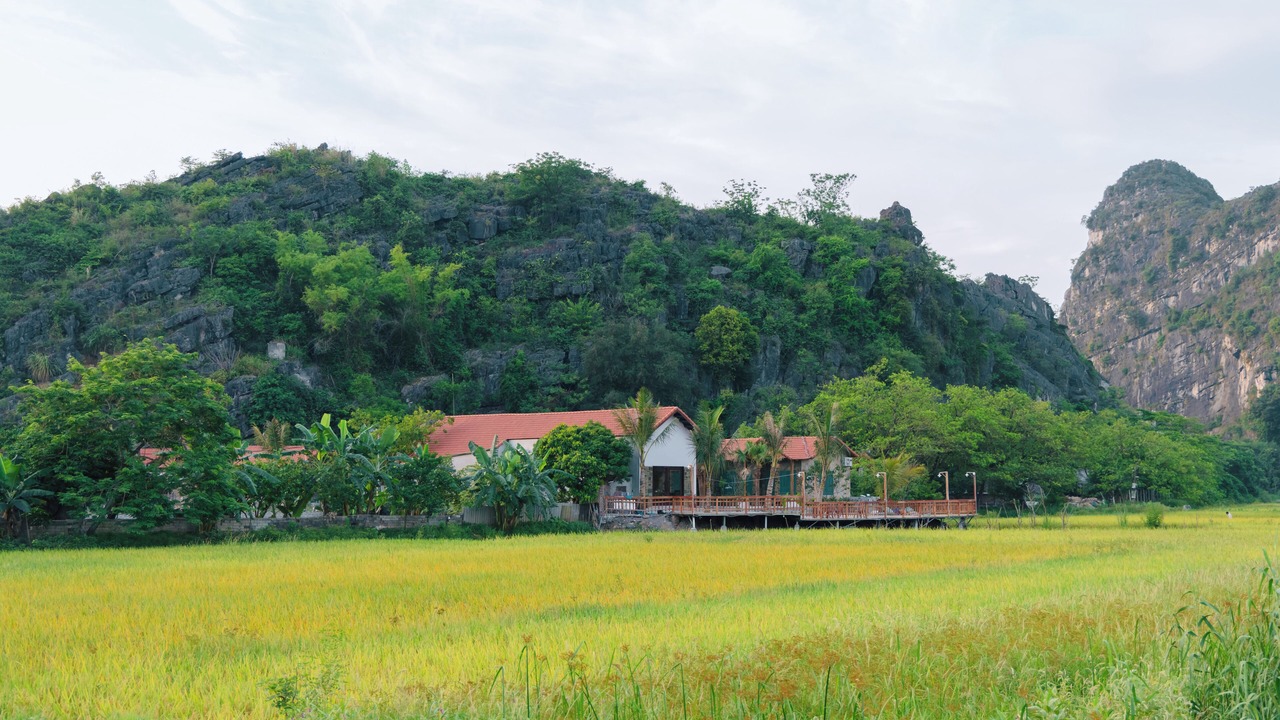 Photo of Others in Hoa Lu