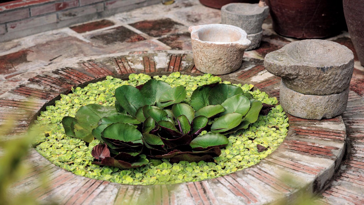 Photo of Outdoor in Hoa Lu