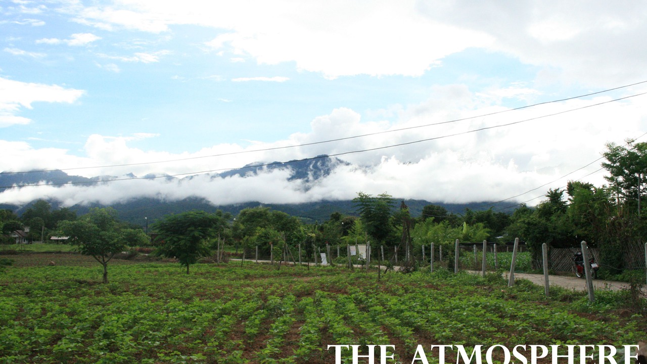 Photo of Others in Pai