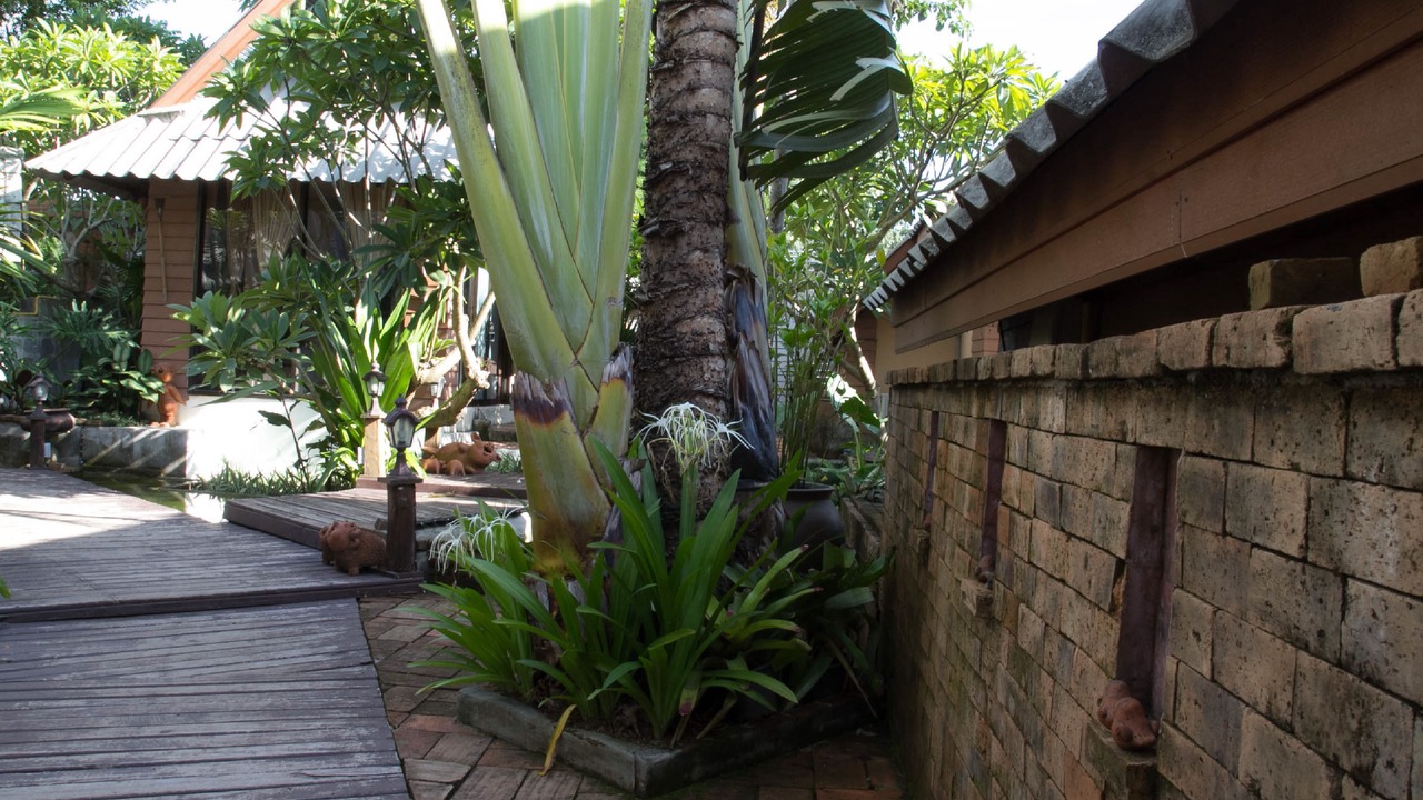 Photo of Outdoor in Pai