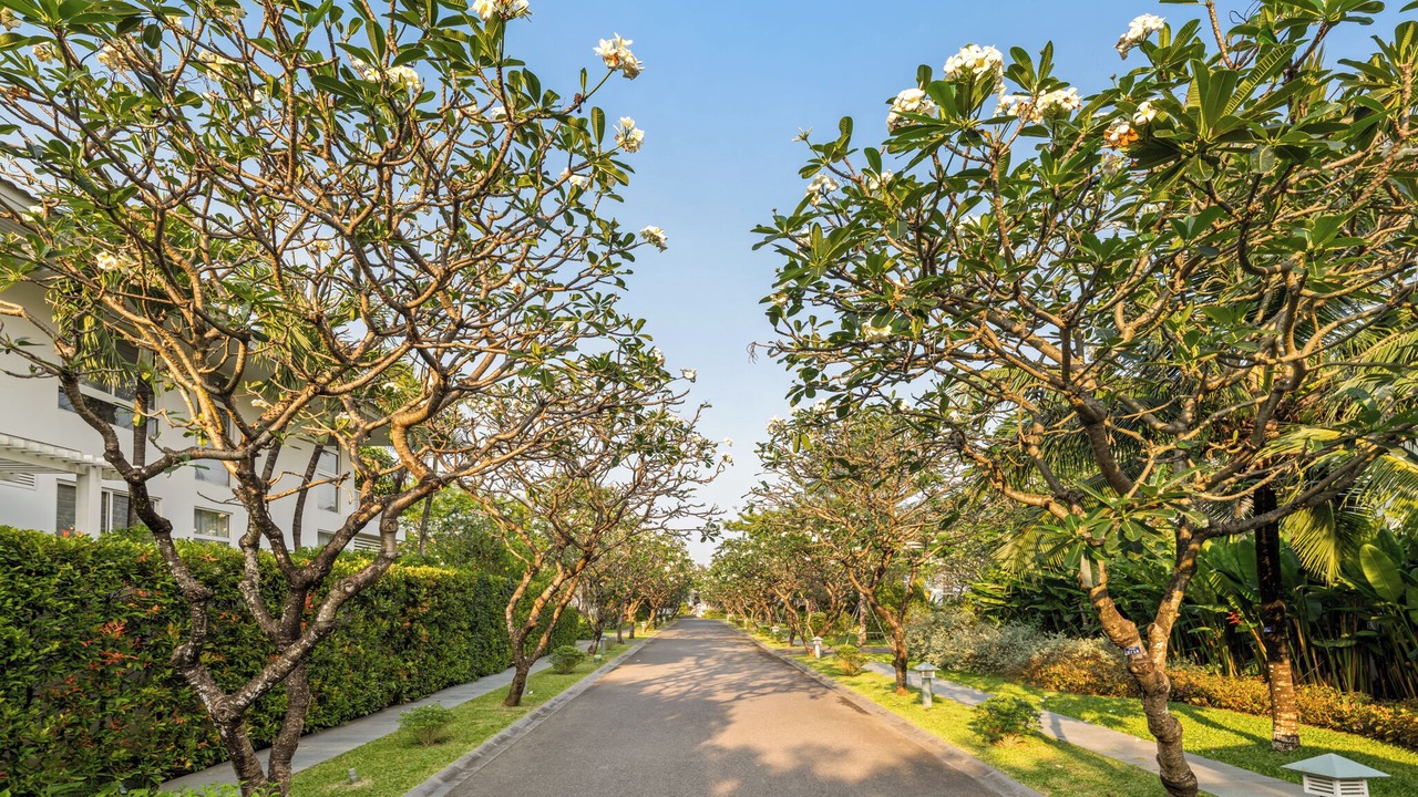 Photo of Outdoor in Ngu Hanh Son