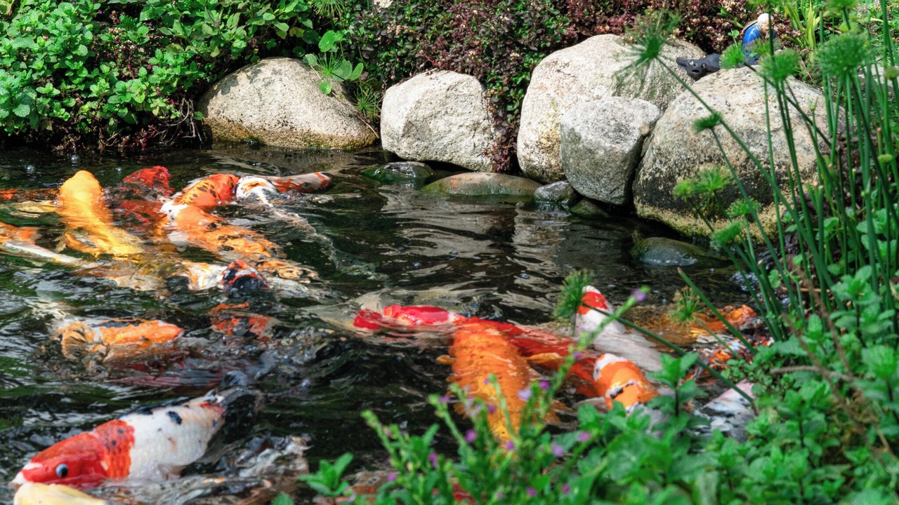 Photo of Outdoor in Phuong 10