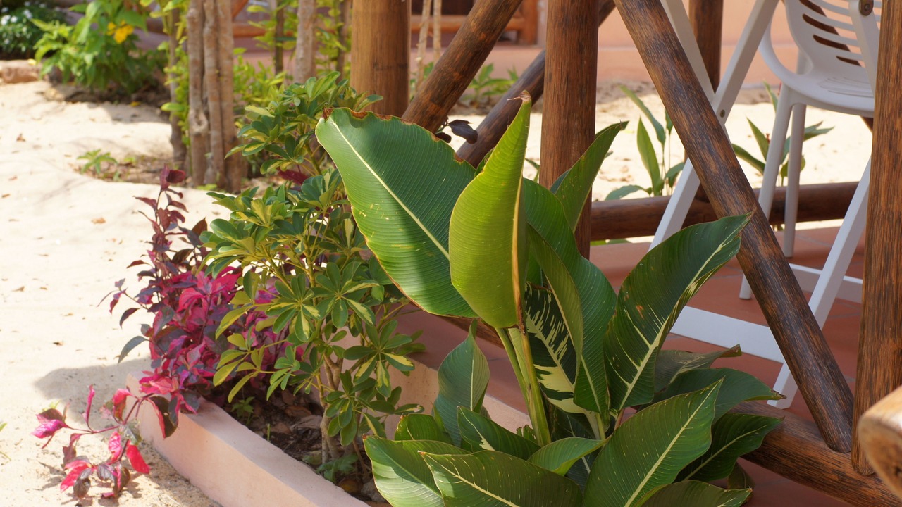 Photo of Outdoor in Cua Can Village