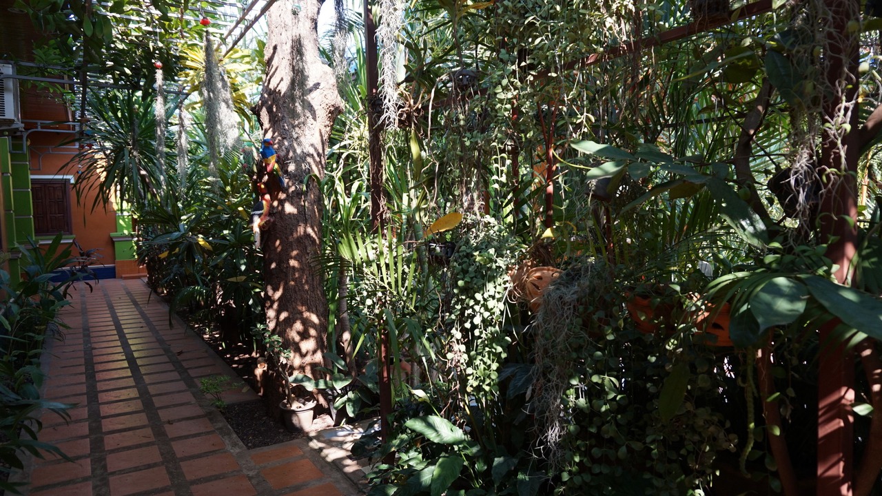 Photo of Outdoor in Pakse