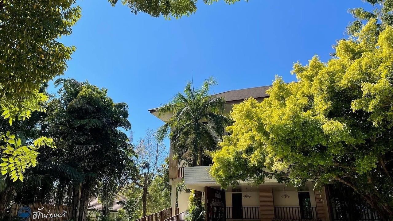 Photo of Outdoor in Pua