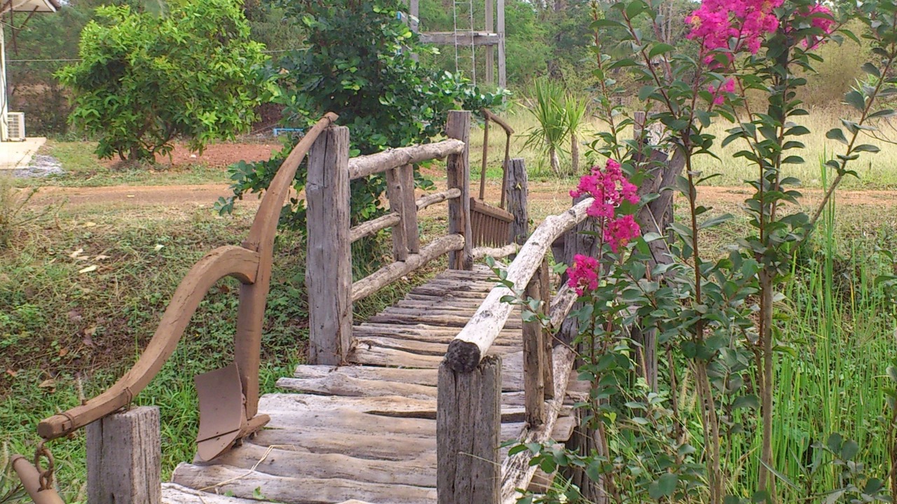 Photo of Outdoor in Wang Saphung