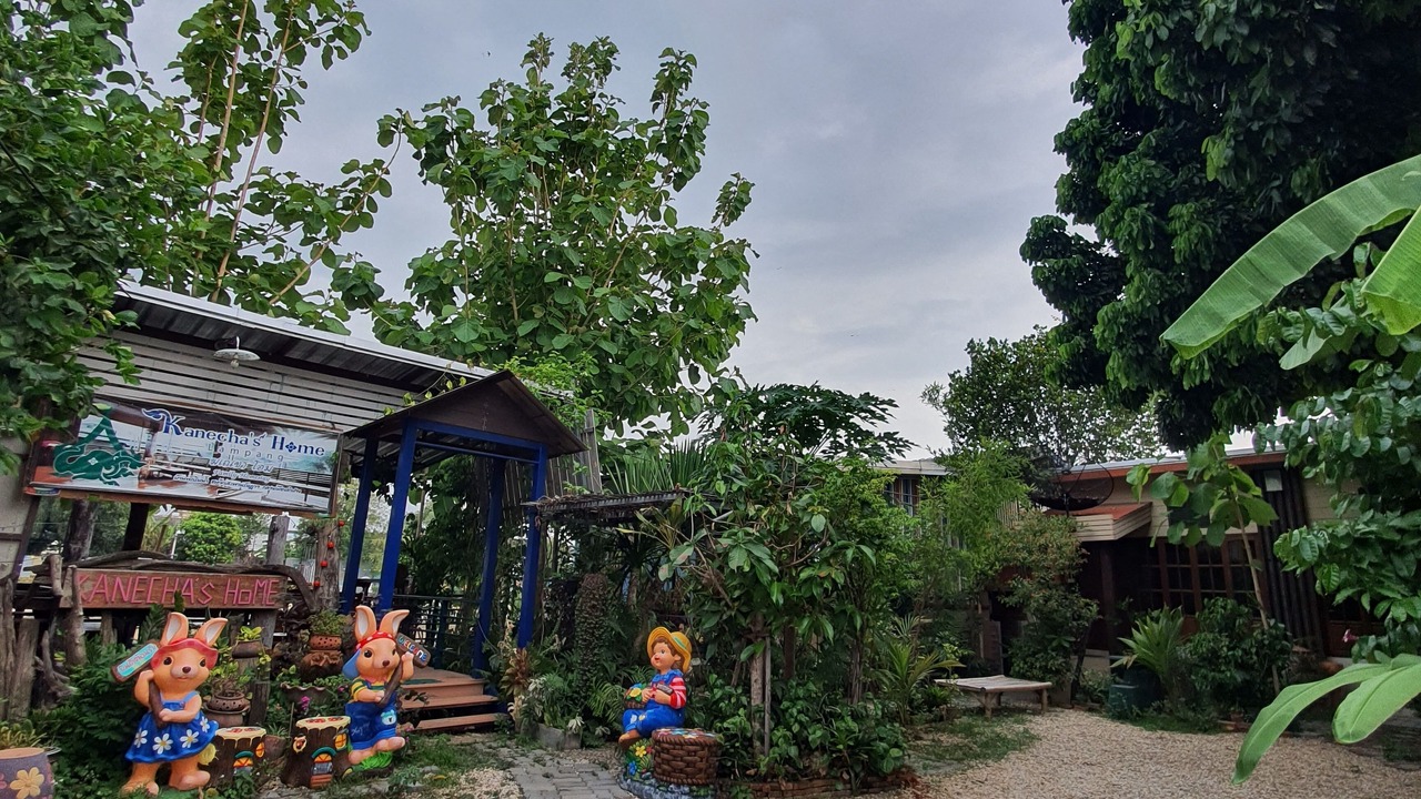 Photo of Outdoor in Wiang Nuea