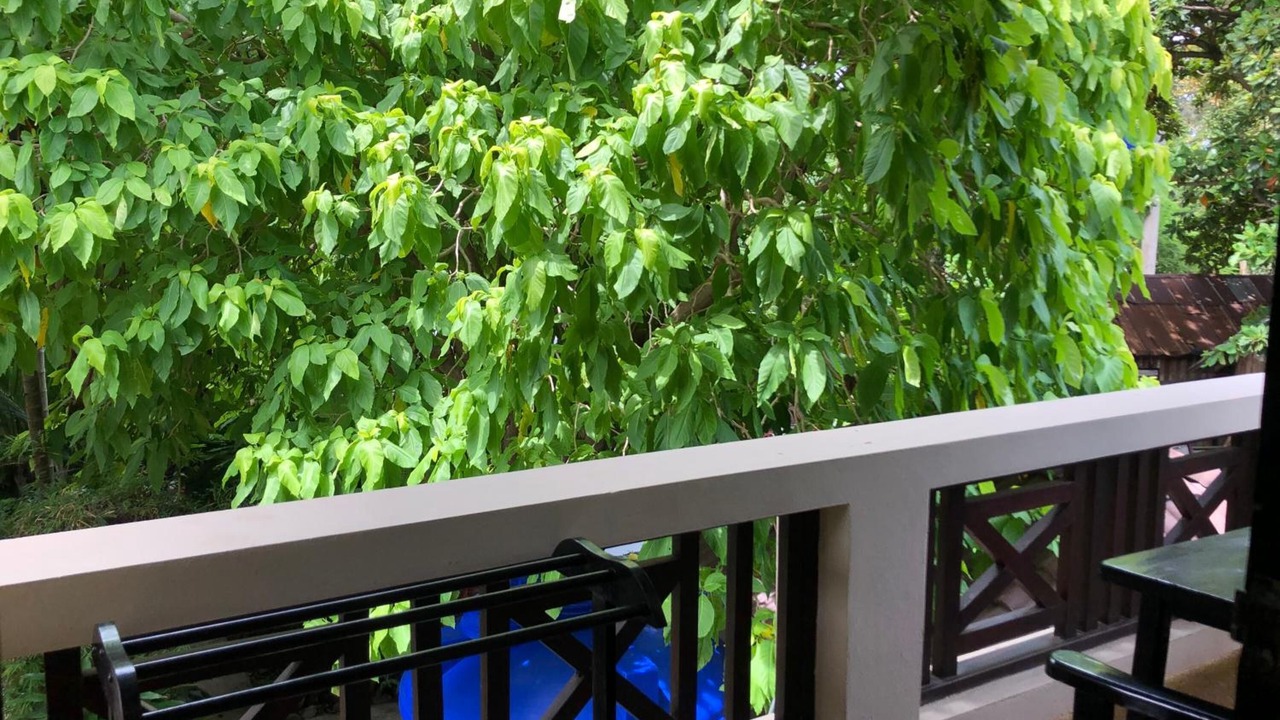 Photo of Patio Balcony in Lamai