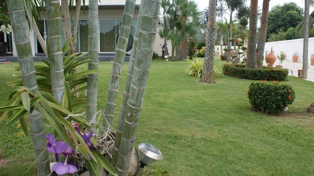 Photo of Outdoor in Sing Buri