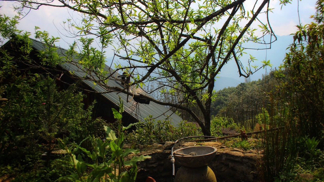 Photo of Outdoor in Hau Thao