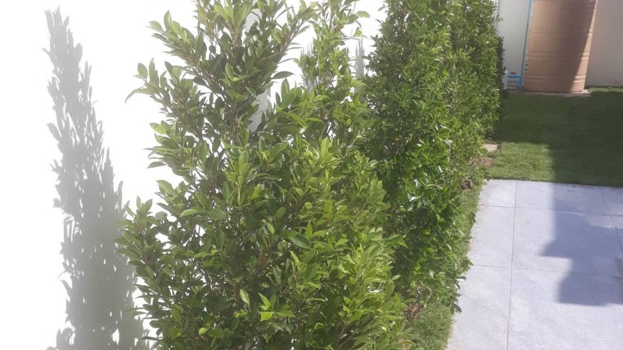 Photo of Outdoor in Ban Nong Sadao