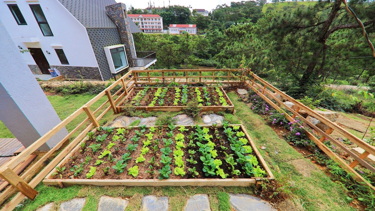 Photo of Outdoor in Da Lat