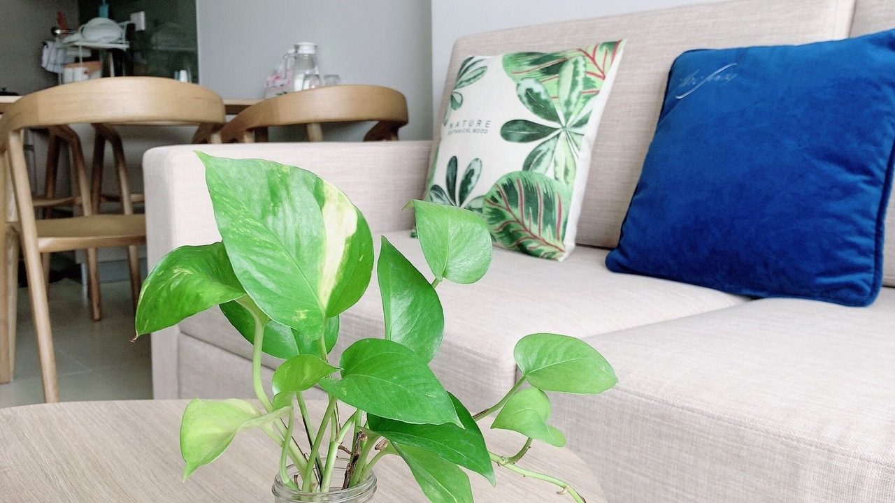 Photo of Livingroom in Thang Tam