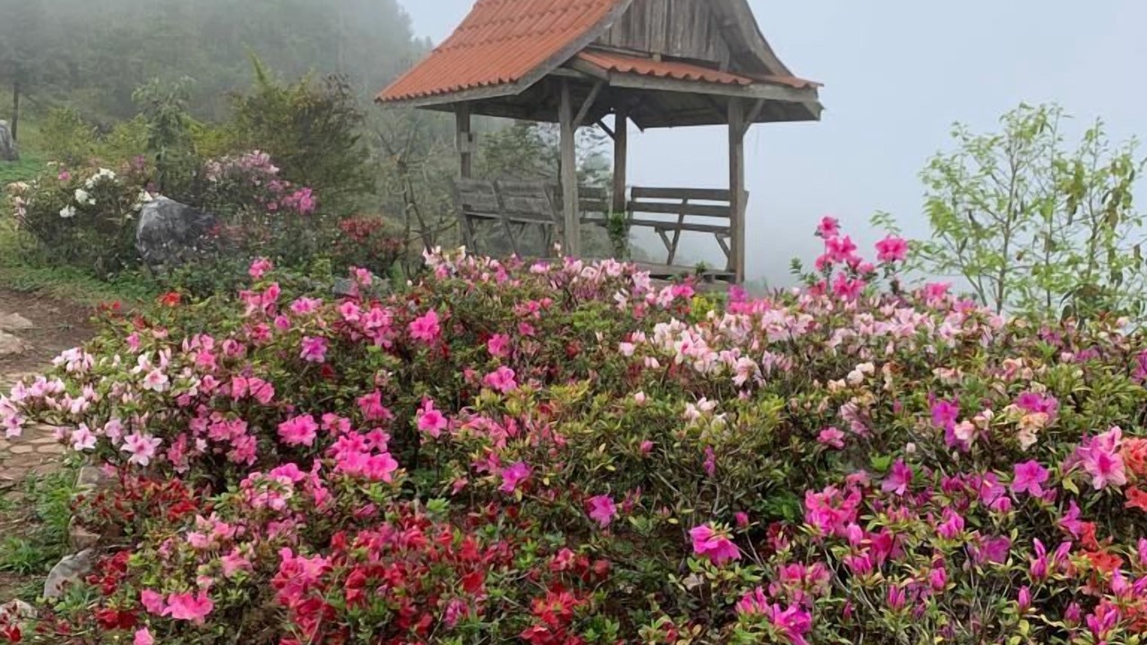 Photo of Outdoor in Ban San Xieng La