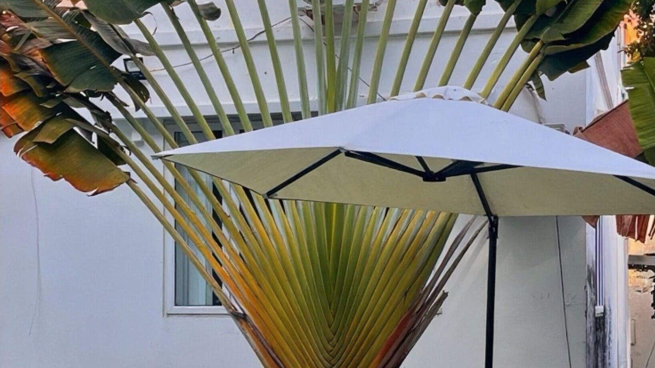 Photo of Outdoor in Vung Tau