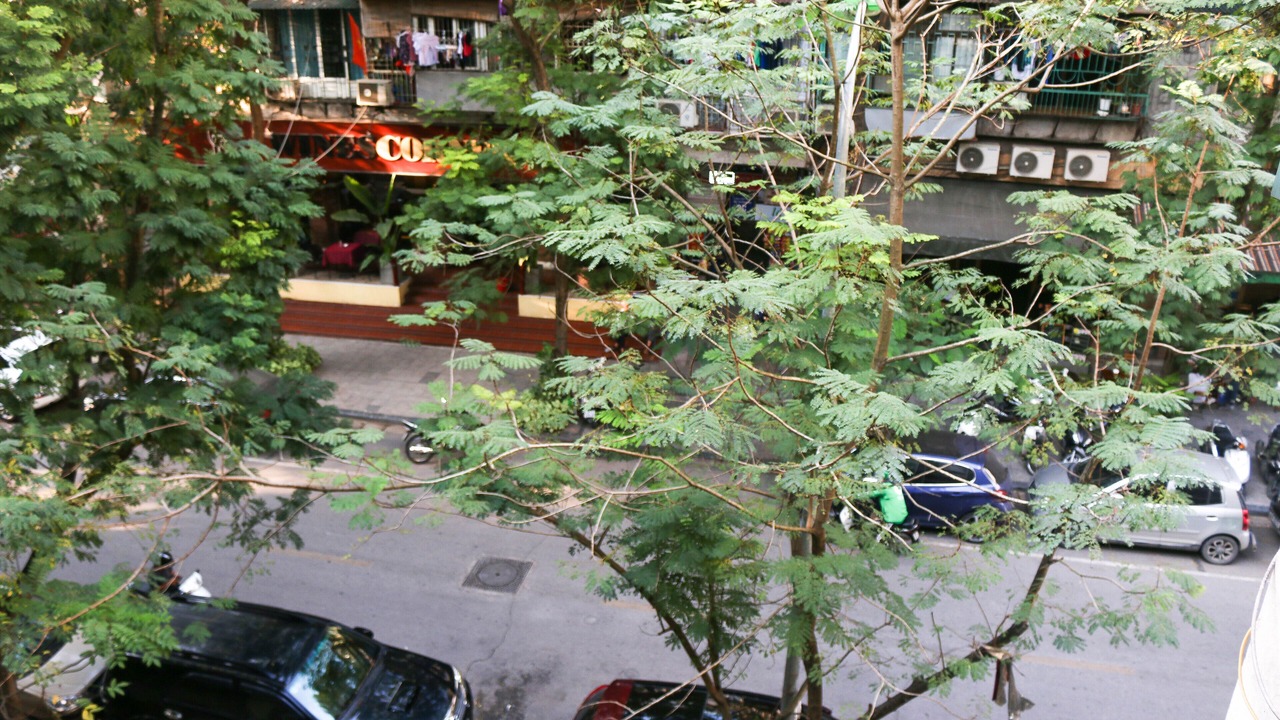 Photo of Outdoor in French Quarter