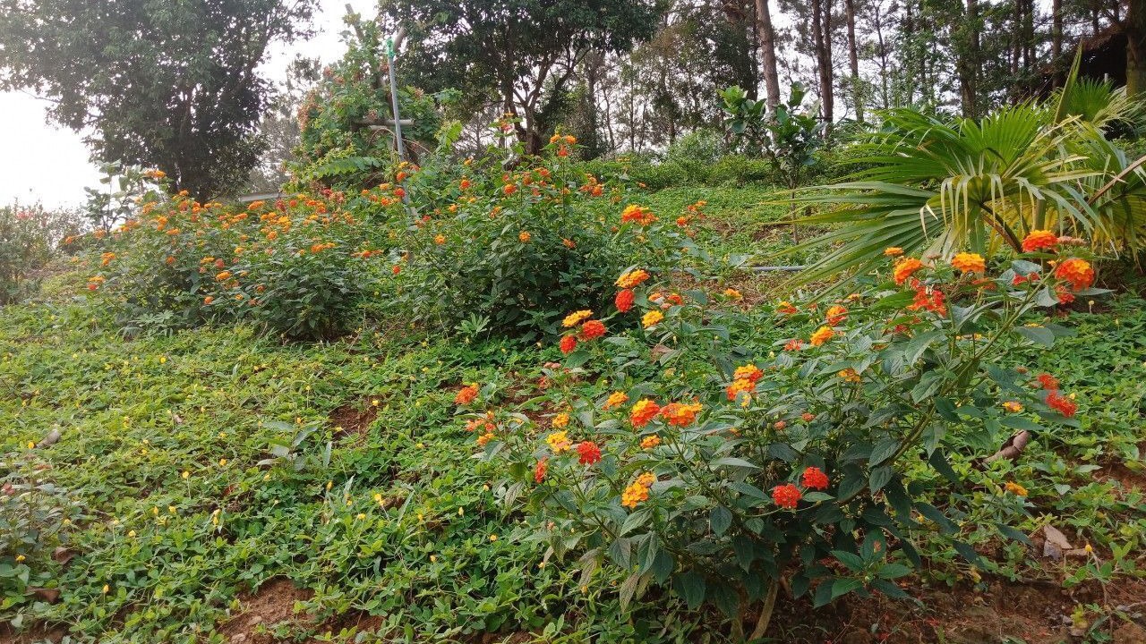 Photo of Outdoor in Ngoc Thanh