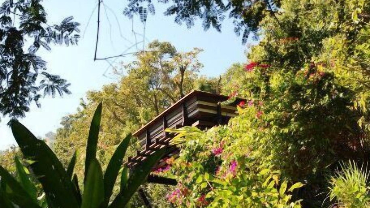 Photo of Outdoor in Hang Dong