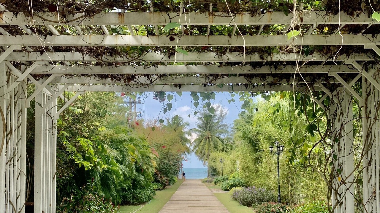 Photo of Outdoor in Duong To