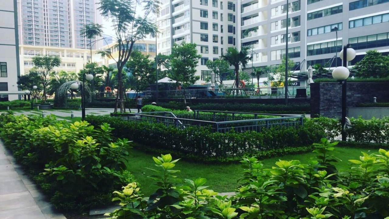 Photo of Others in Thanh Xuan