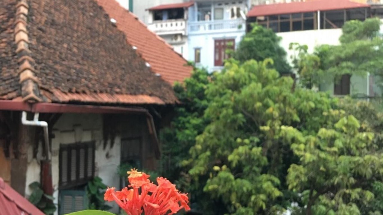 Photo of Others in Truc Bach
