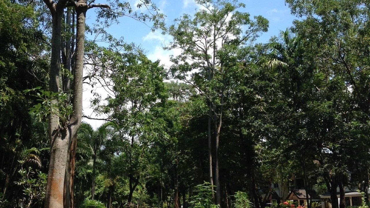 Photo of Outdoor in Kram