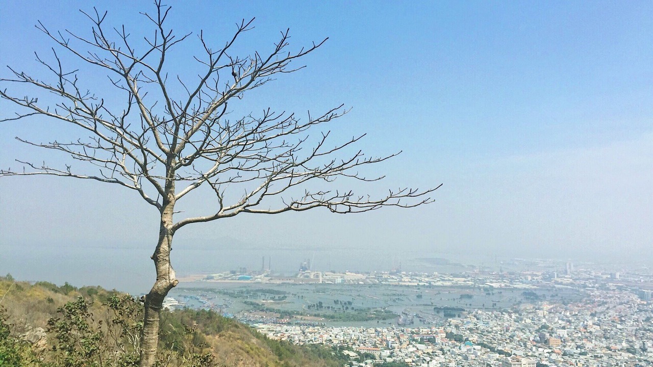 Photo of Others in Thang Tam