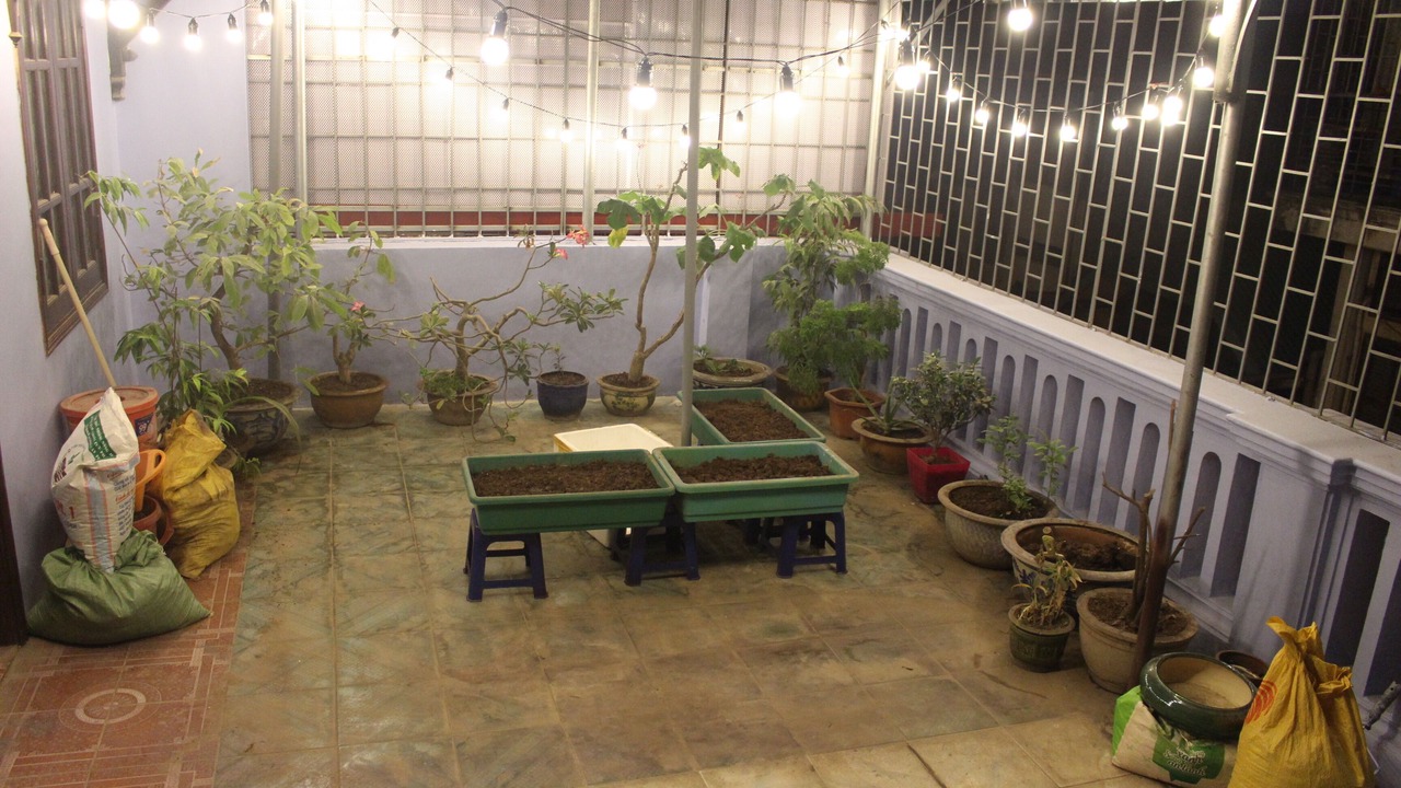 Photo of Others in Thanh Xuan