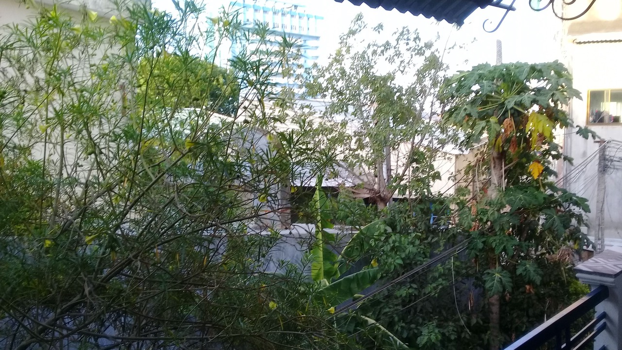 Photo of Outdoor in Quy Nhon