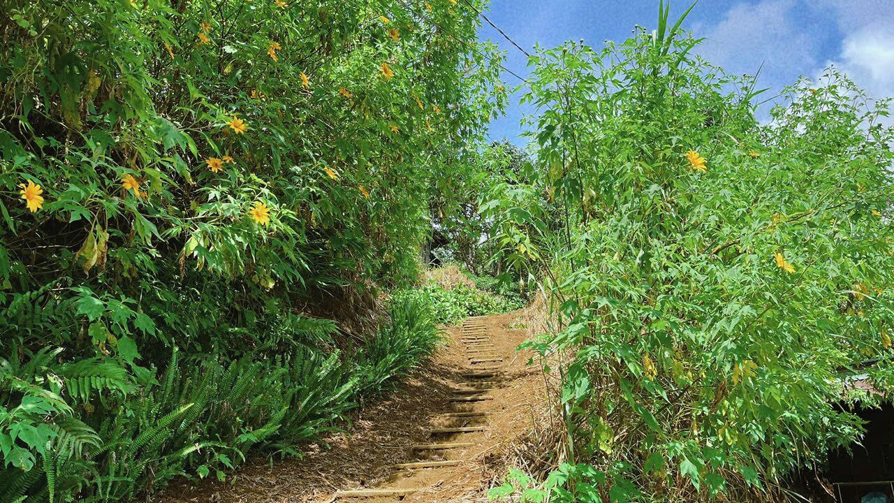 Photo of Outdoor in Da Lat