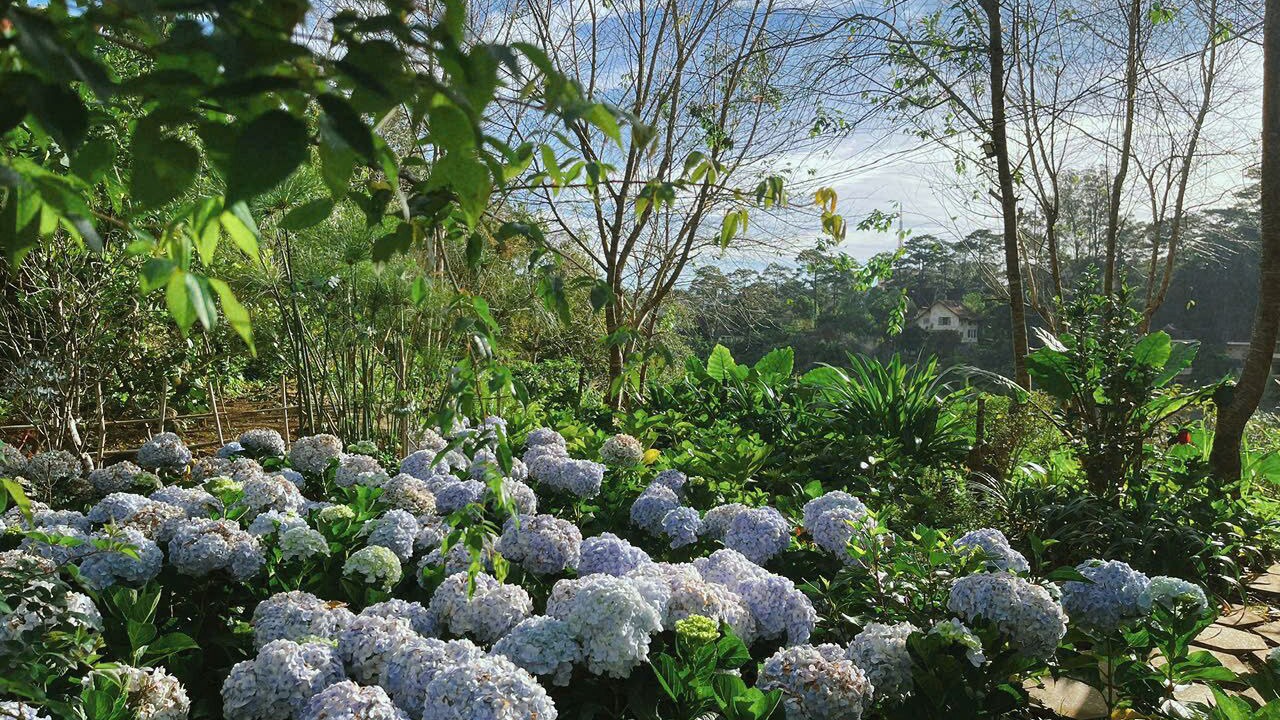 Photo of Outdoor in Da Lat