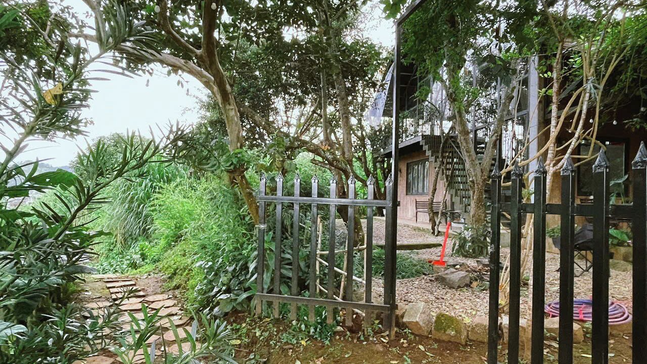 Photo of Outdoor in Da Lat