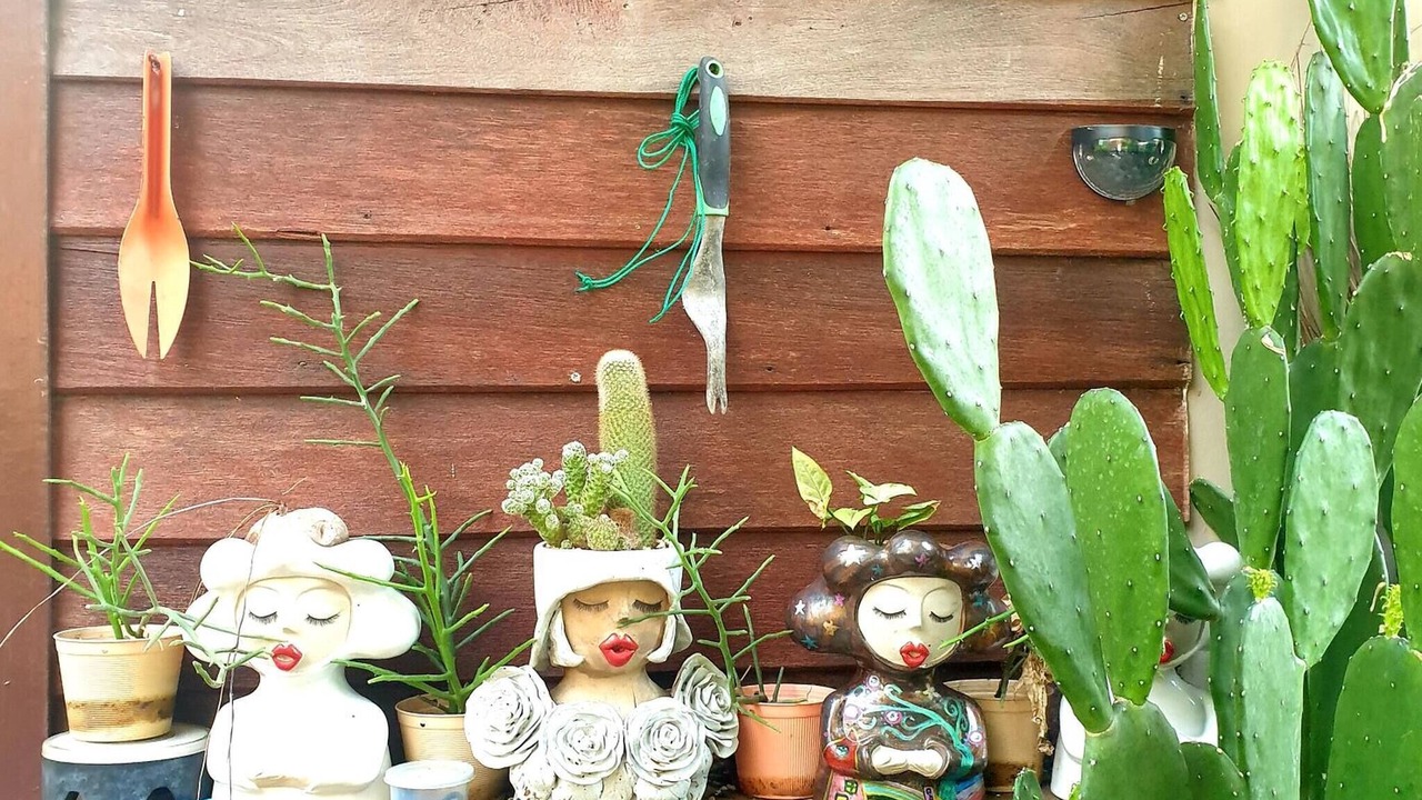 Photo of Outdoor in Bang Bo