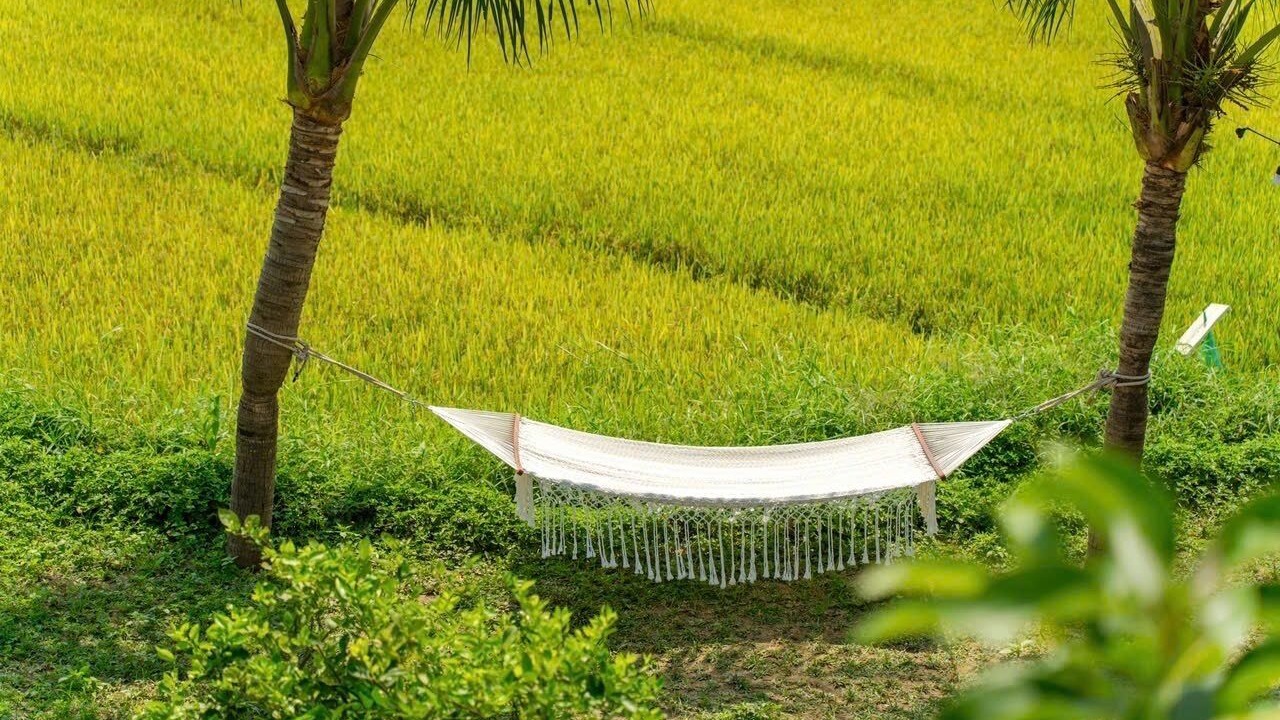 Photo of Outdoor in Cam Chau