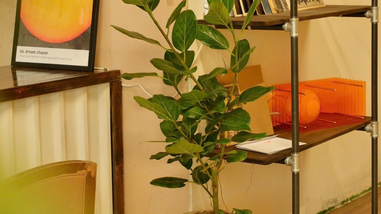 Photo of Others in Bui Thi Xuan
