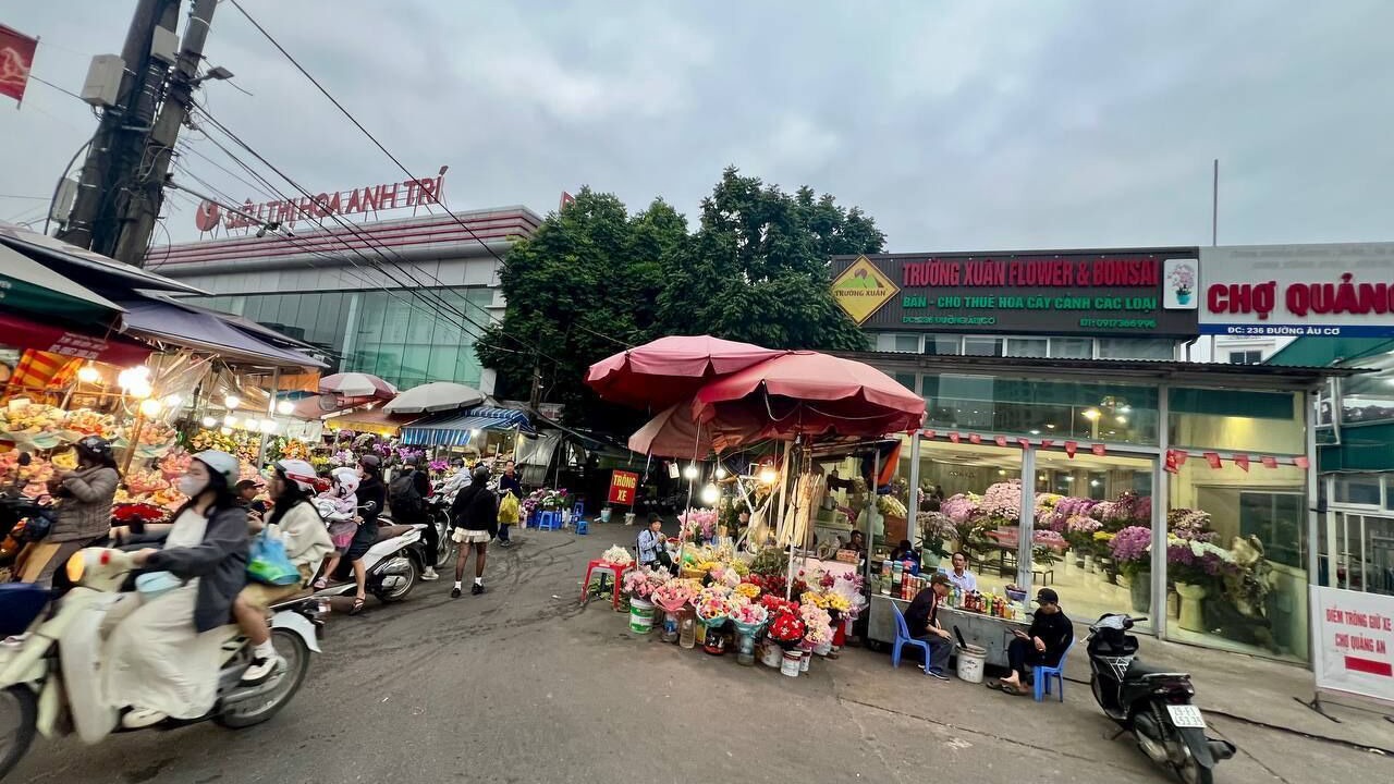 Photo of Others in Quang An