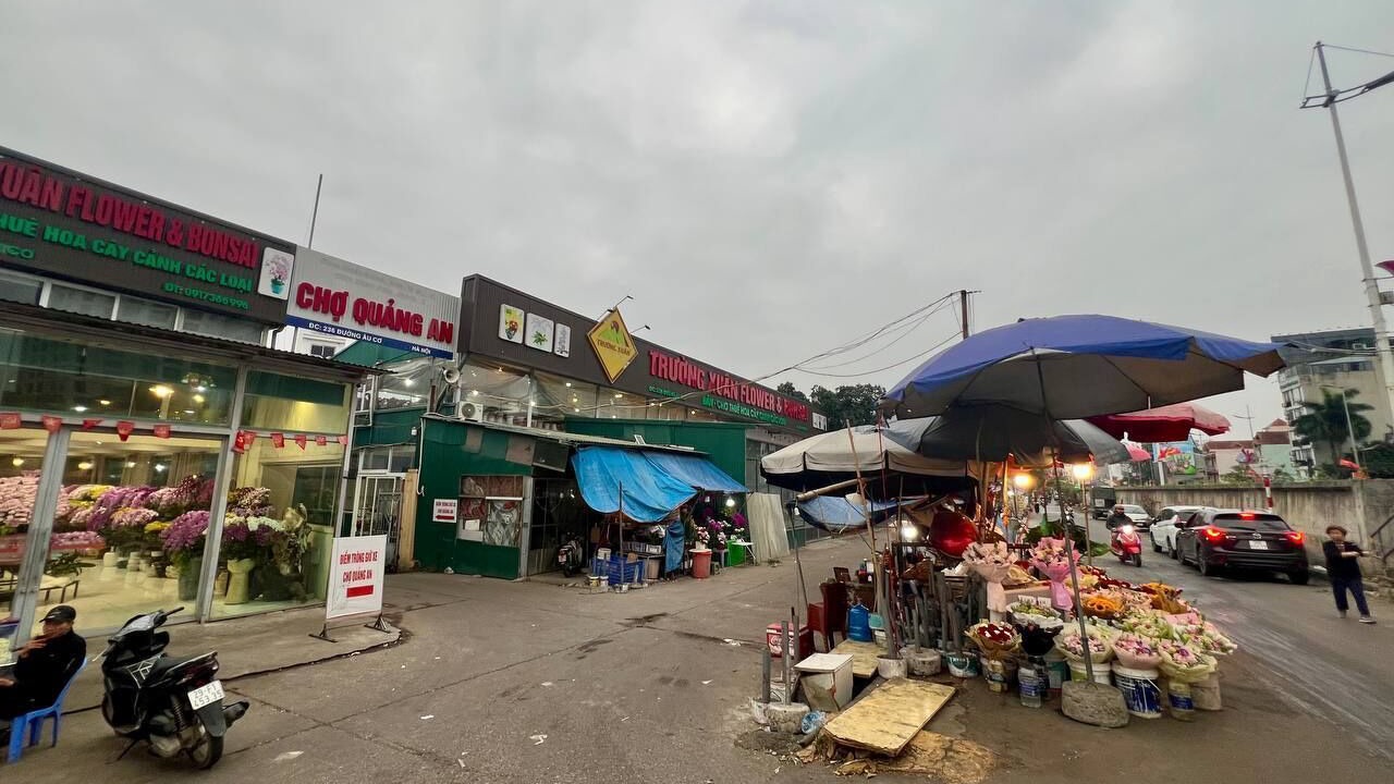 Photo of Others in Quang An